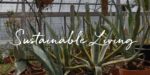 Quickbrush Font