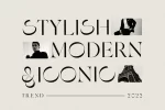 Skyrate - Stylish Font