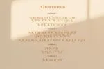 Spidro Marley Font