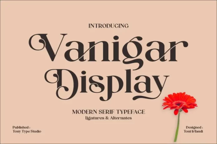 Vanigar Display Font