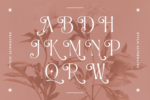 Alexang Display Font