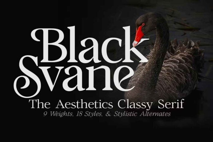 Black Svane Font