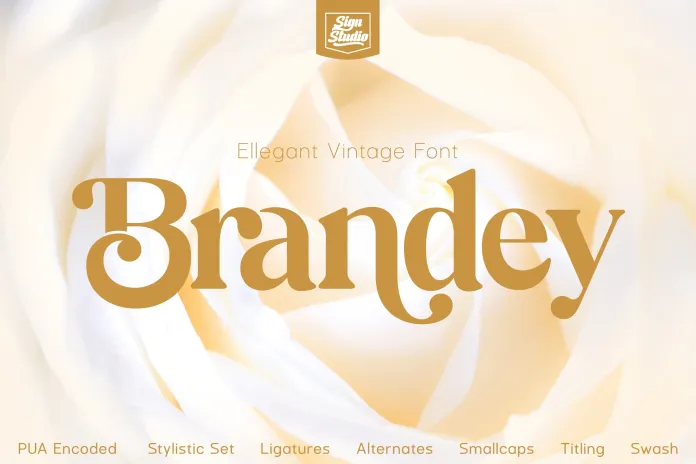 Brandey Font