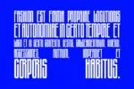 Cas Layeer Max Font