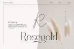 Dealoras Duo Font Family