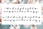 Delysha Script Font