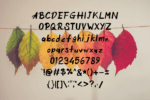 Fallnex Font