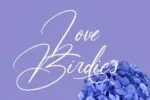 Grattica Blues Script Font