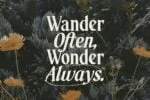 Morning Memories Serif & Script