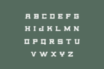 RE Ecap Font