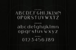 Reaste Elegant Font