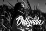 Rulythem Font