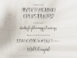 Silentsky Script Font