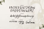 Steven Carter Font