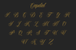Wildstyle Font