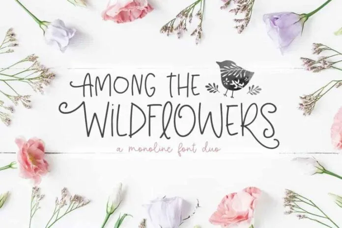 Among The Wildflowers Font Duo
