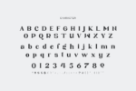 Andhita Font
