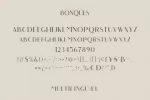 Angelic Bonques Font Duo