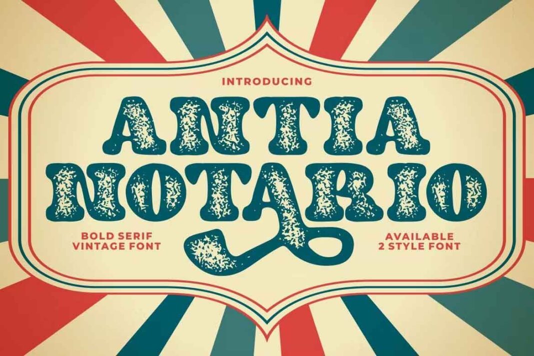 Antia Notario Font