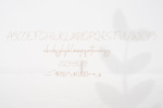 Austacopi Font
