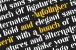 Autolinker – Fancy Ligature Font