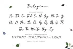 Belagia Calligraphy Font