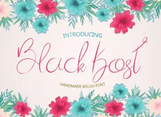 Black Kost Script Font