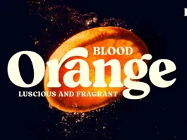 Blood Orange Font