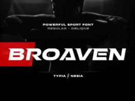Broaven Font
