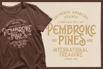 Brown Chunkers Display Font