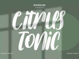 Citrus Tonic Font