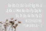 Davossy Font