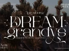 Dream Grandys Font