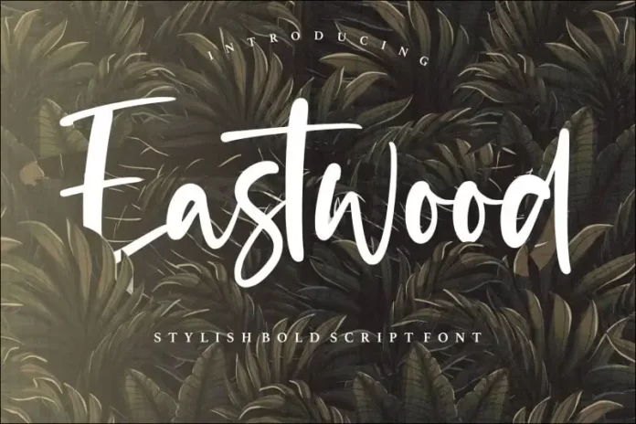 Eastwood Stylish Bold Script Font