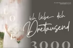 Ellouise Script Font