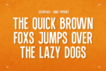 Essentials Font