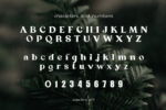Eziso Font