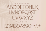Glorya Font