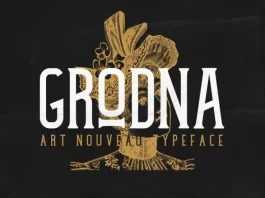 Grodna Vintage Font