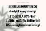 Honey Bunney Font Duo