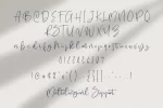 Hugesnow Signature Font