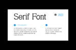 Libertarian Font
