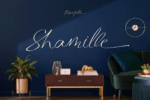 Manfollo Font