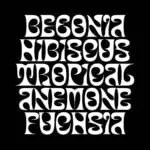 Monstera 0.1 font
