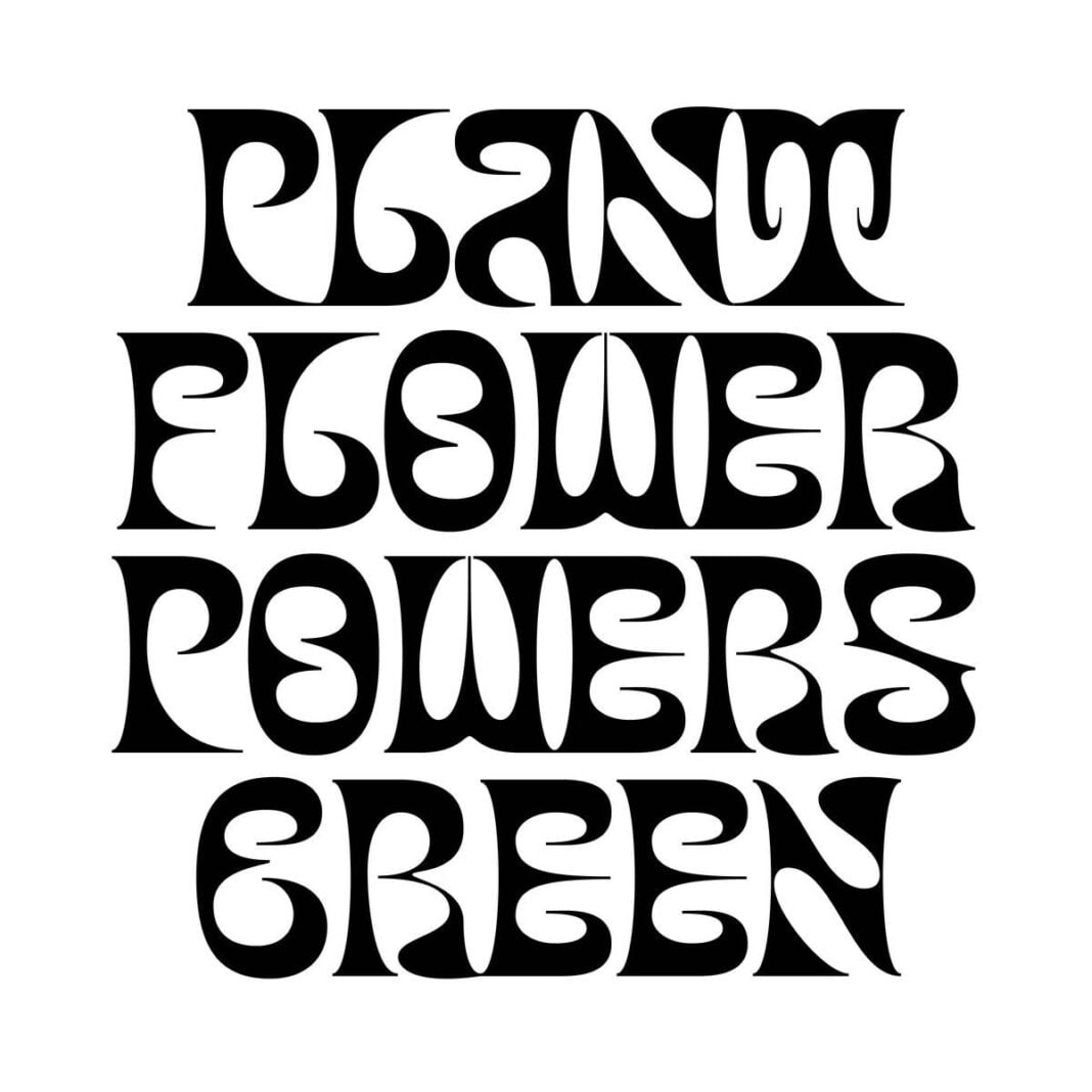 Monstera 0.1 font