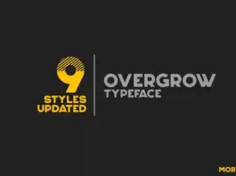 Overgrow Typeface Font