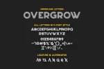 Overgrow Typeface Font