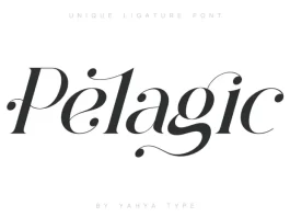 Pelagic Bird Font