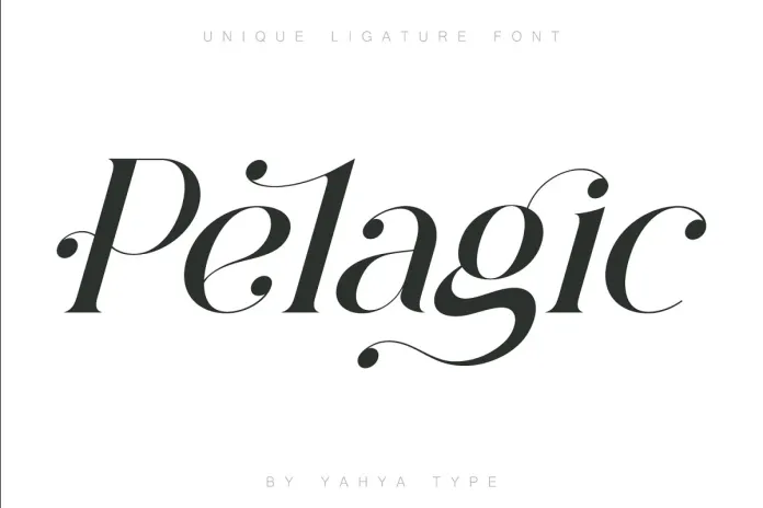 Pelagic Bird Font