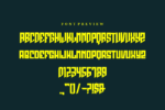 Raster Mania Font